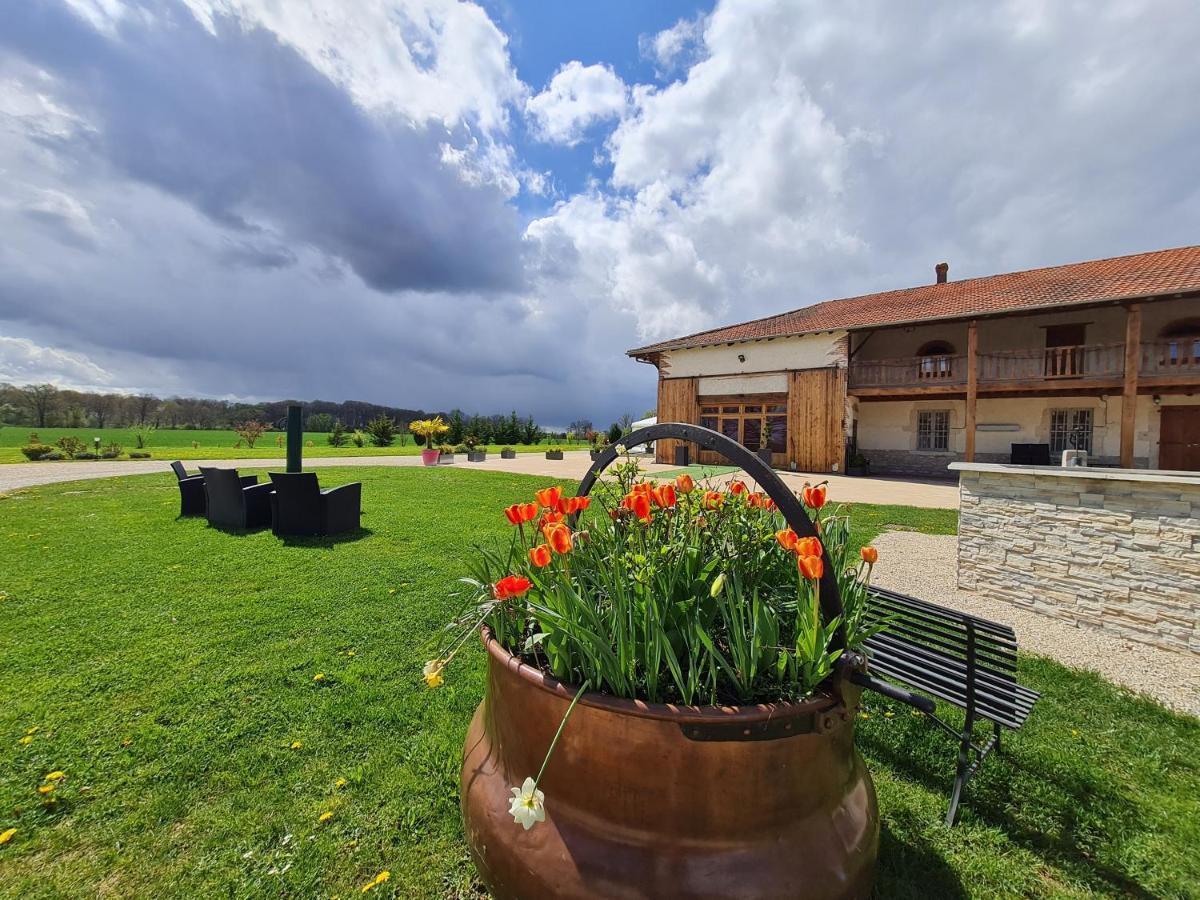 Domaine du Cuiset -Gîte des Combles Saint-André-sur-Vieux-Jonc Extérieur photo