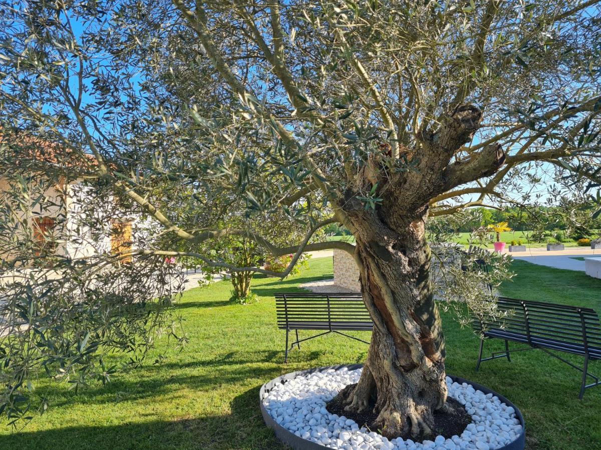 Domaine du Cuiset -Gîte des Combles Saint-André-sur-Vieux-Jonc Extérieur photo