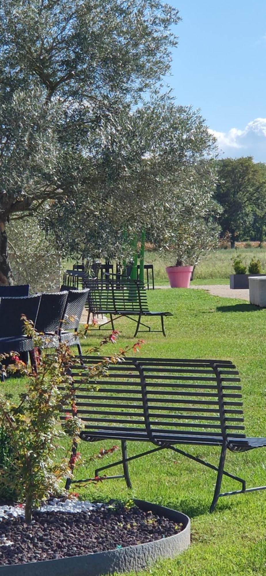 Domaine du Cuiset -Gîte des Combles Saint-André-sur-Vieux-Jonc Extérieur photo