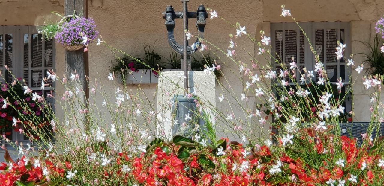 Domaine du Cuiset -Gîte des Combles Saint-André-sur-Vieux-Jonc Extérieur photo